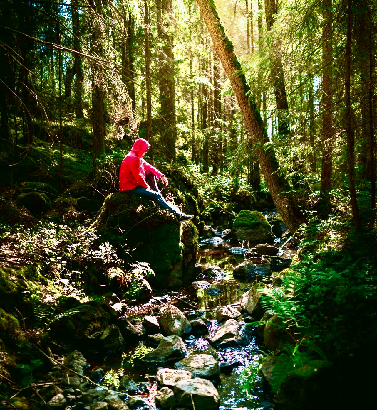 male-camper-looking-at -the river